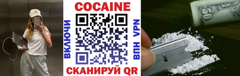 КОКАИН Fish Scale  Купить закладки  Берёзовка 