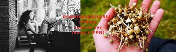 винт Магас