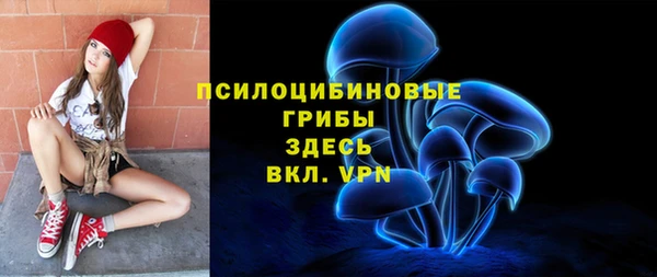 винт Магас