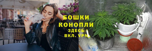 винт Магас