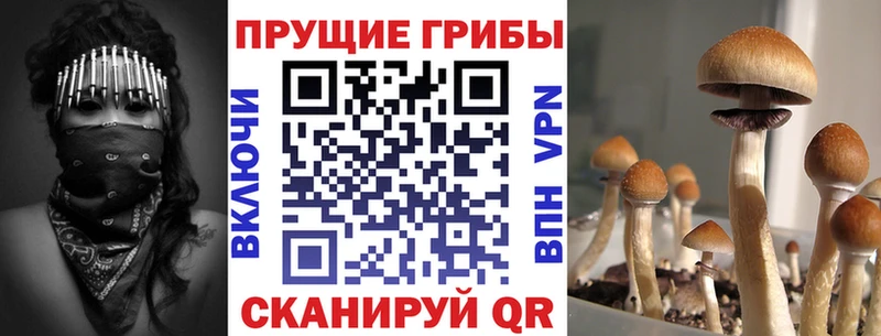 Псилоцибиновые грибы мицелий  Купить закладки  Берёзовка 