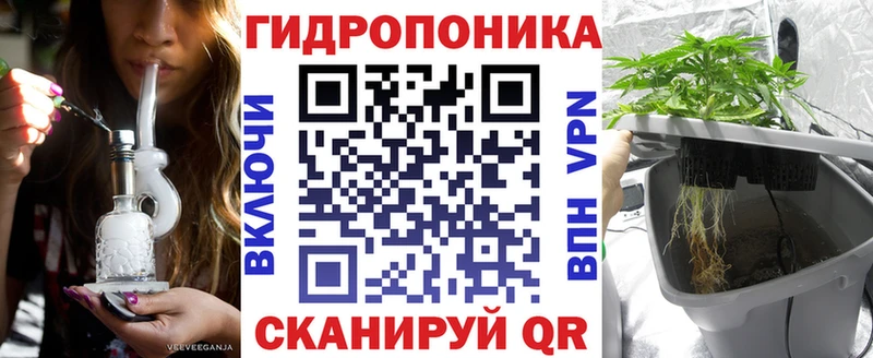 Купить закладки  Берёзовка  Шишки марихуана ГИДРОПОН 
